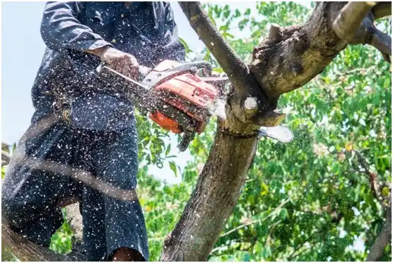 tree services McEwen